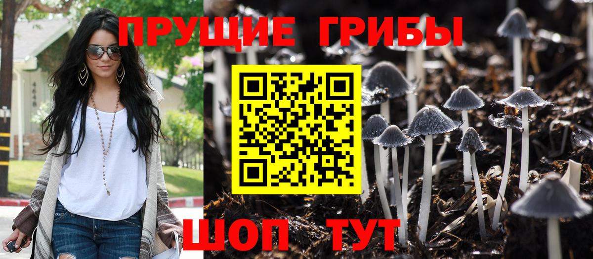 Галлюциногенные грибы Psilocybine cubensis Лиски