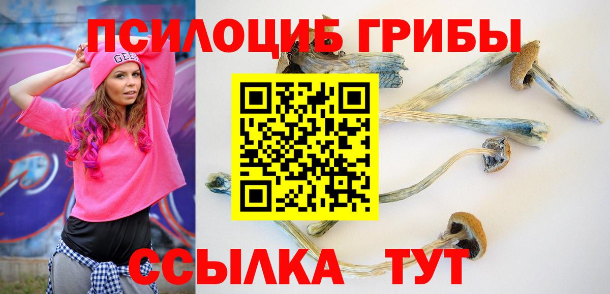 Лиски  Псилоцибиновые грибы MAGIC MUSHROOMS  Вход с VPN  Псилоцибиновые грибы Psilocybe 